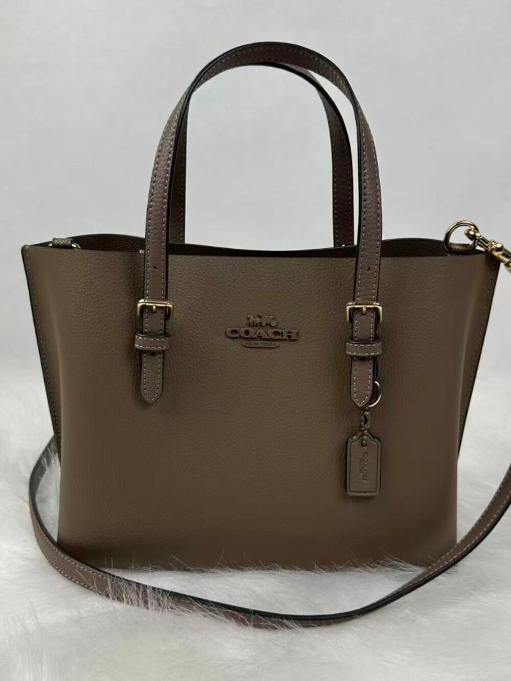 Coach Mollie Tote Bag 25 Crossbody In Leather/Gold/Dark Stone CV966 NWT